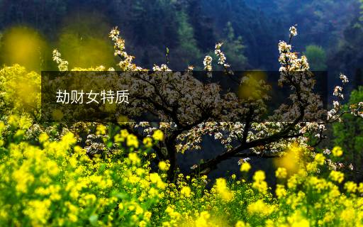 劫財女特質(zhì)