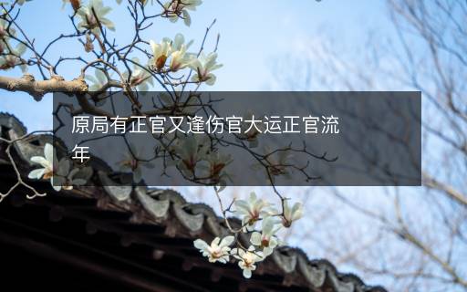 原局有正官又逢傷官大運(yùn)正官流年