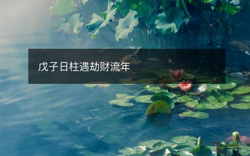 戊子日柱遇劫財(cái)流年