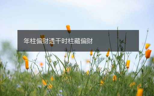 年柱偏財透干時柱藏偏財