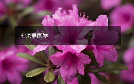 七殺男國學(xué)