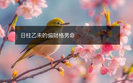 日柱乙未的偏財格男命