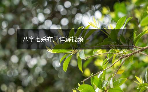 八字七殺布局詳解視頻