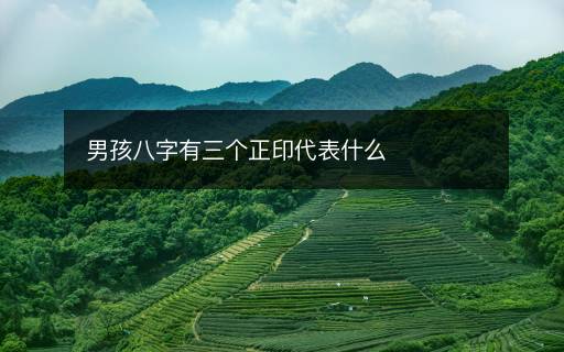 男孩八字有三個(gè)正印代表什么