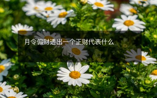 月令偏財(cái)透出一個(gè)正財(cái)代表什么