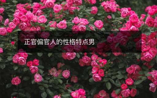 正官偏官人的性格特點(diǎn)男
