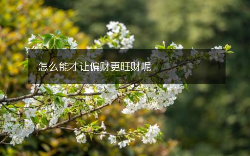 怎么能才讓偏財更旺財呢