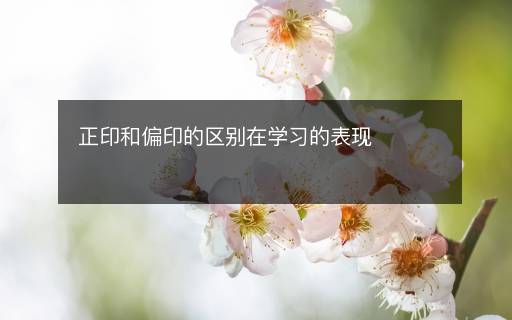 正印和偏印的區(qū)別在學(xué)習(xí)的表現(xiàn)