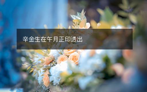 辛金生在午月正印透出