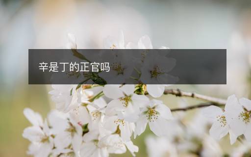 辛是丁的正官嗎
