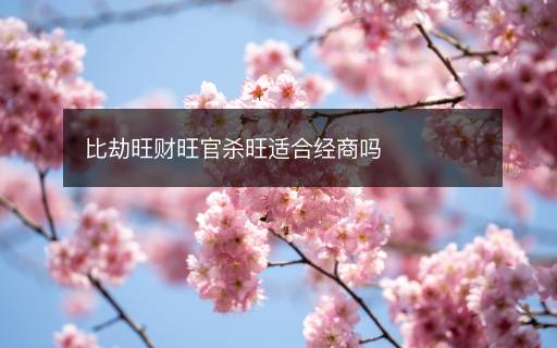 比劫旺財(cái)旺官殺旺適合經(jīng)商嗎