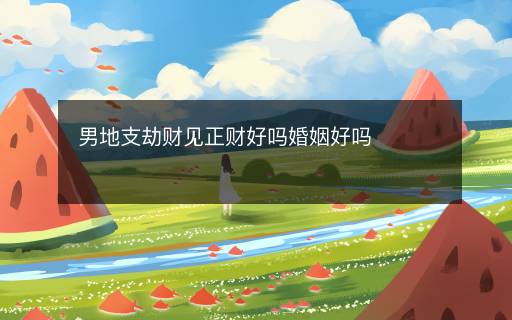 男地支劫財見正財好嗎婚姻好嗎