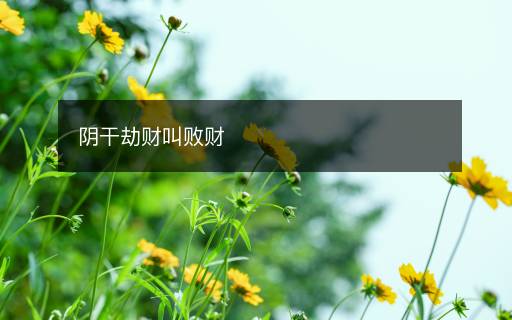 陰干劫財(cái)叫敗財(cái)