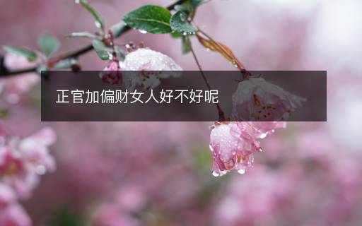 正官加偏財女人好不好呢