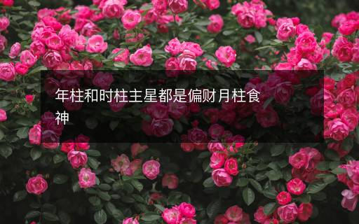 年柱和時(shí)柱主星都是偏財(cái)月柱食神