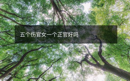 五個傷官女一個正官好嗎