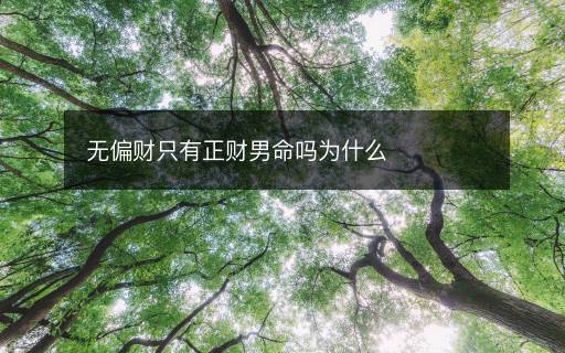 無偏財(cái)只有正財(cái)男命嗎為什么