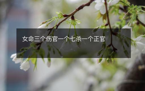 女命三個(gè)傷官一個(gè)七殺一個(gè)正官