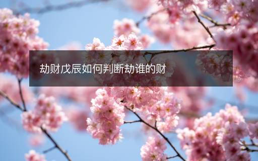 劫財(cái)戊辰如何判斷劫誰的財(cái)