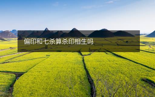 偏印和七殺算殺印相生嗎