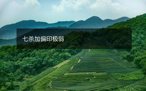 七殺加偏印極弱
