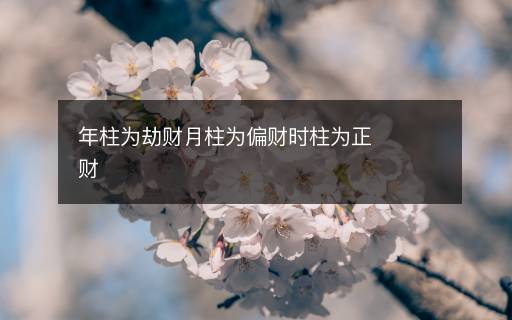 年柱為劫財月柱為偏財時柱為正財