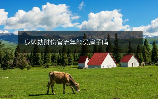 身弱劫財(cái)傷官流年能買房子嗎