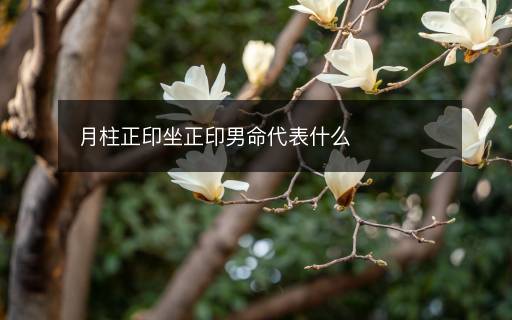 月柱正印坐正印男命代表什么