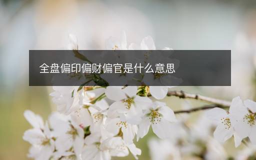 全盤偏印偏財偏官是什么意思