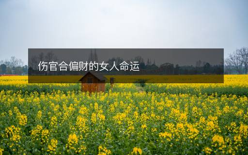 傷官合偏財(cái)?shù)呐嗣\(yùn)