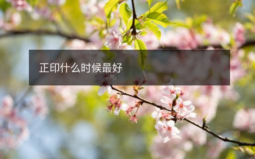 正印什么時候最好