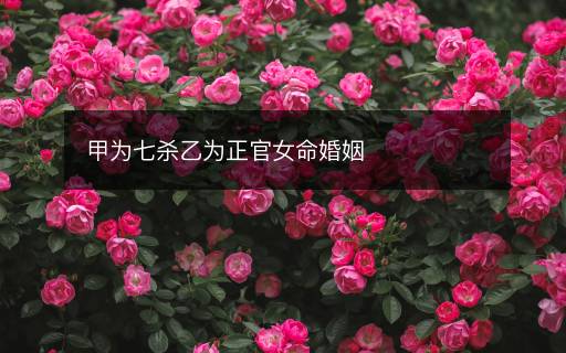 甲為七殺乙為正官女命婚姻