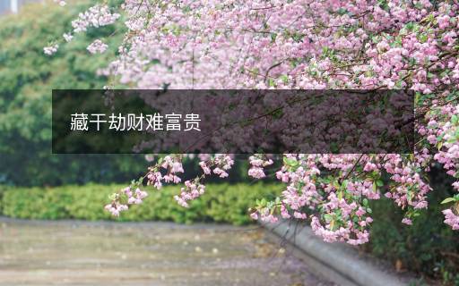 藏干劫財(cái)難富貴