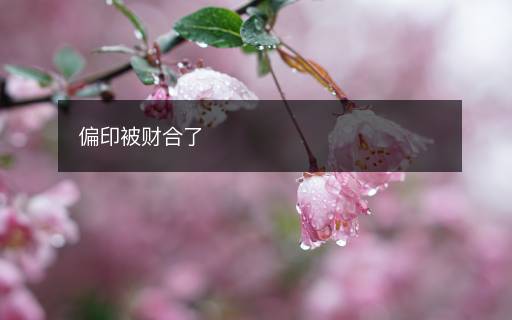 偏印被財合了