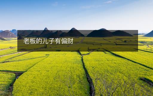老板的兒子有偏財(cái)