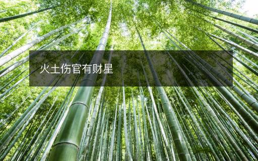 火土傷官有財(cái)星