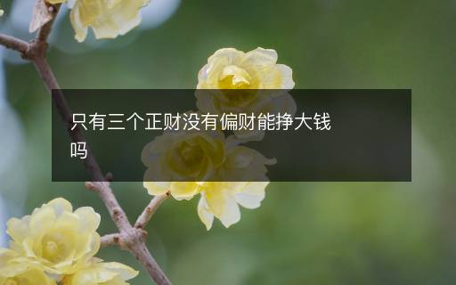 只有三個(gè)正財(cái)沒有偏財(cái)能掙大錢嗎