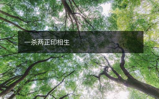 一殺兩正印相生