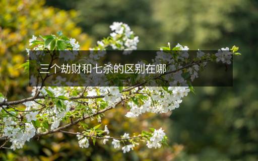 三個劫財和七殺的區(qū)別在哪