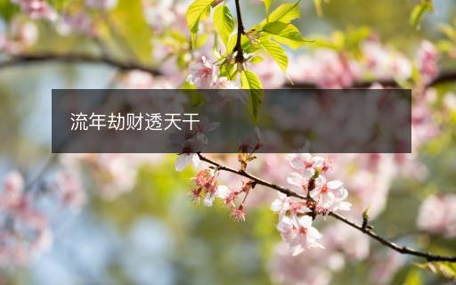 流年劫財透天干