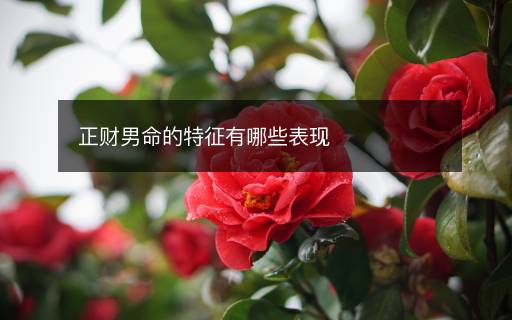 正財男命的特征有哪些表現(xiàn)