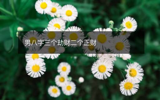 男八字三個(gè)劫財(cái)二個(gè)正財(cái)