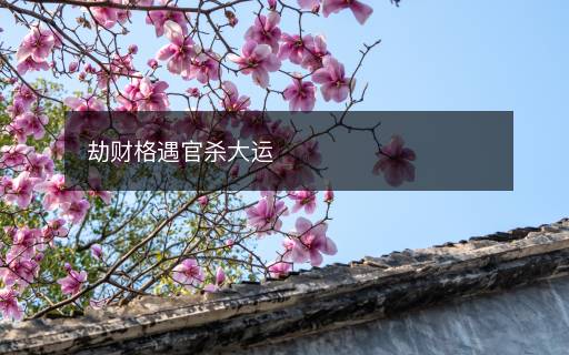 劫財格遇官殺大運