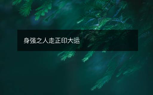 身強(qiáng)之人走正印大運