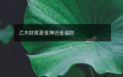 乙木財庫是食神還是偏財