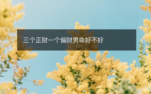 三個正財一個偏財男命好不好