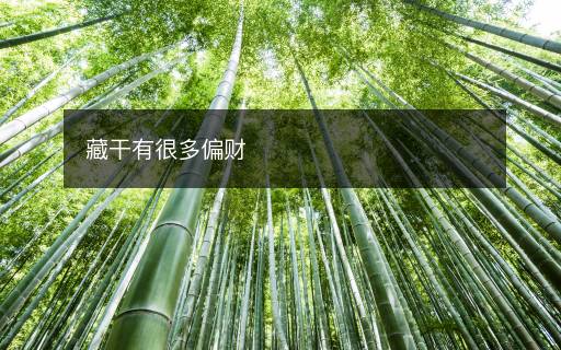 藏干有很多偏財