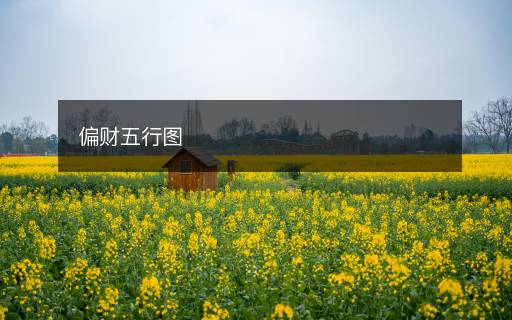 偏財五行圖