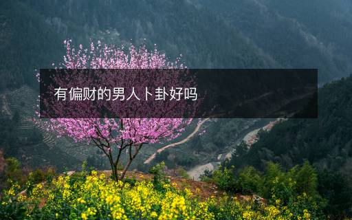 有偏財的男人卜卦好嗎