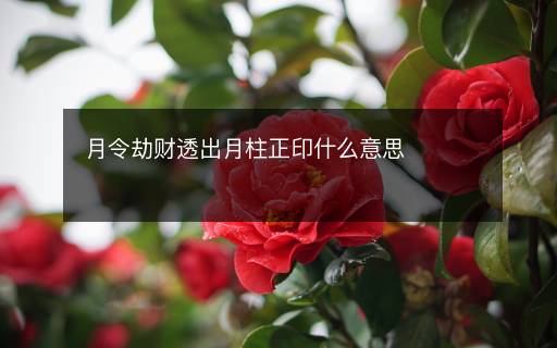 月令劫財透出月柱正印什么意思